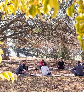 A small group sitting on mats beneath autumn trees during an outdoor session