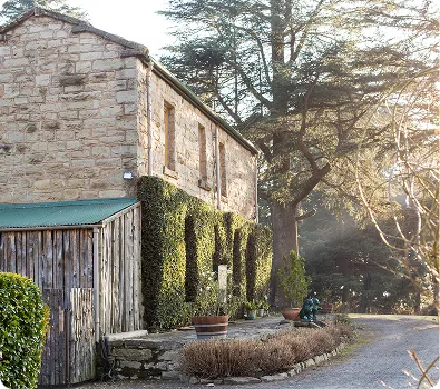 Stone cottage with ivy-covered walls beside a gravel path under tall trees
